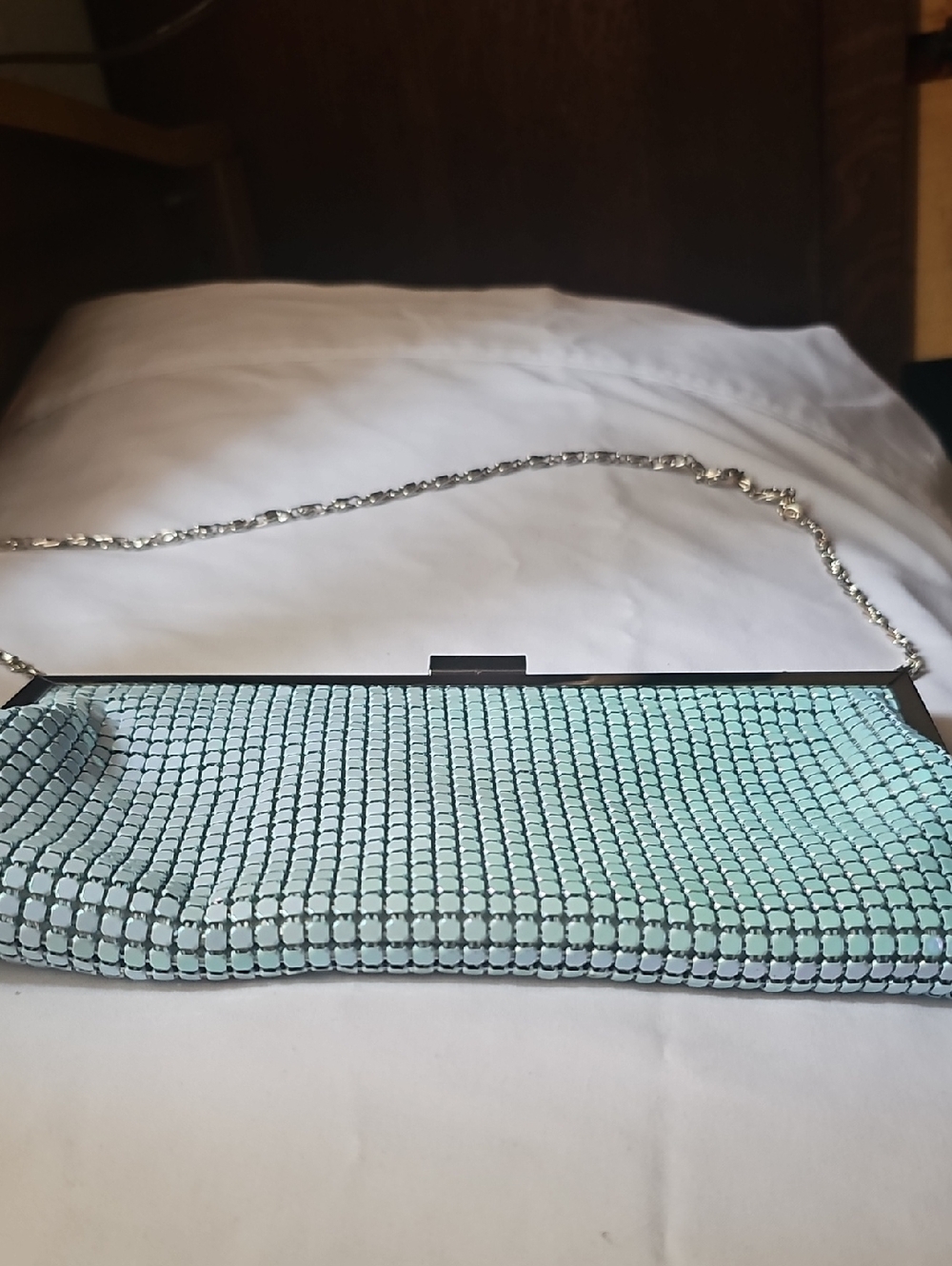 Style & Co. Mint Mesh Evening Clutch with Silver Chain